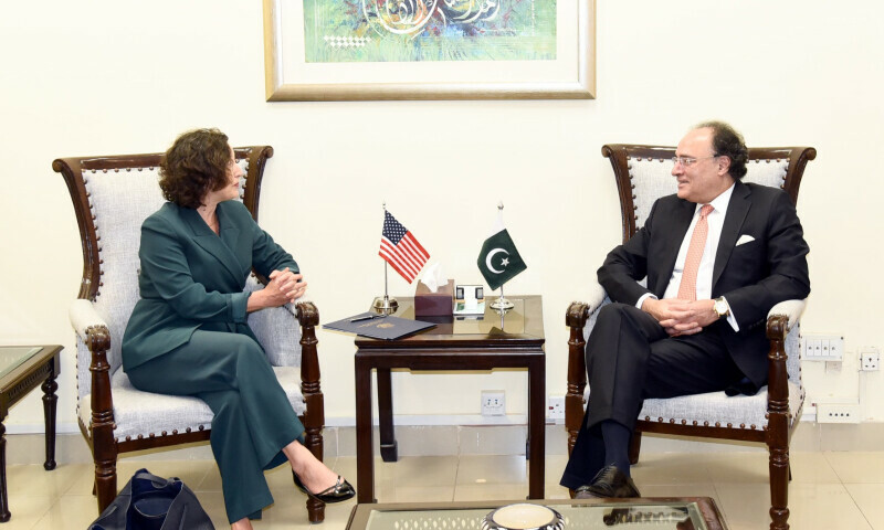 New US acting envoy discusses economic ties with Finance Minister Aurangzeb – Business
