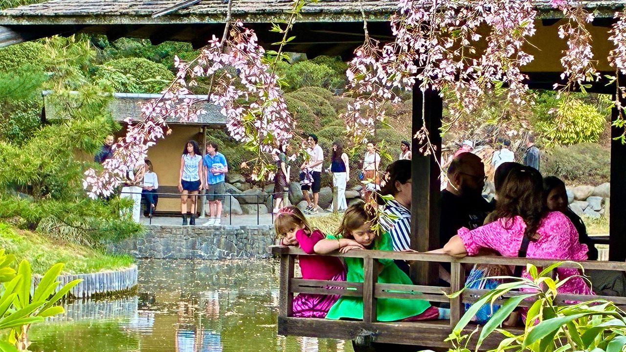 Tens of Thousands Assemble in New York to Celebrate Japanese Culture