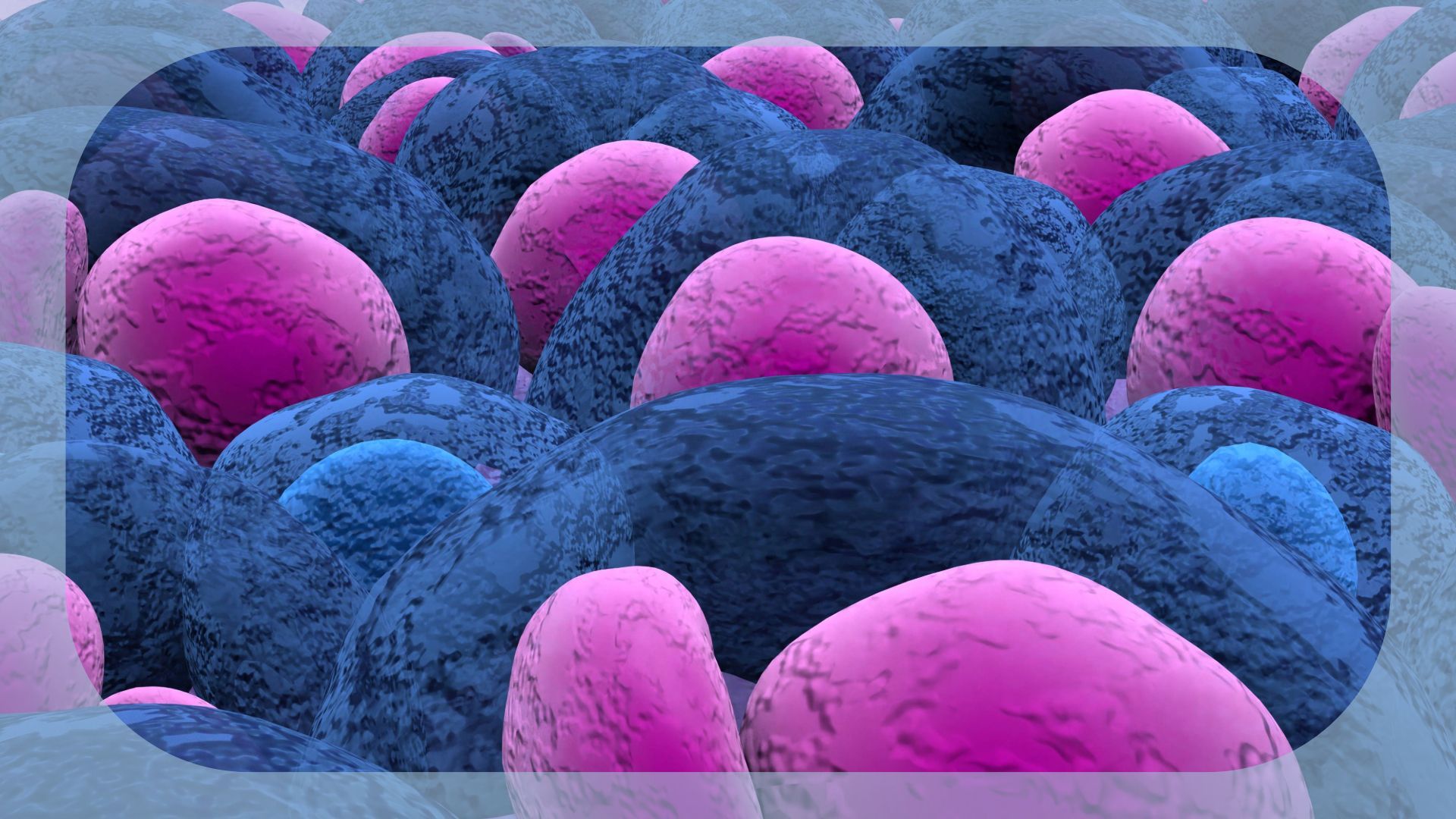 Isatuximab Plus VRd Approved in Europe for Transplant-Eligible Newly Diagnosed Multiple Myeloma