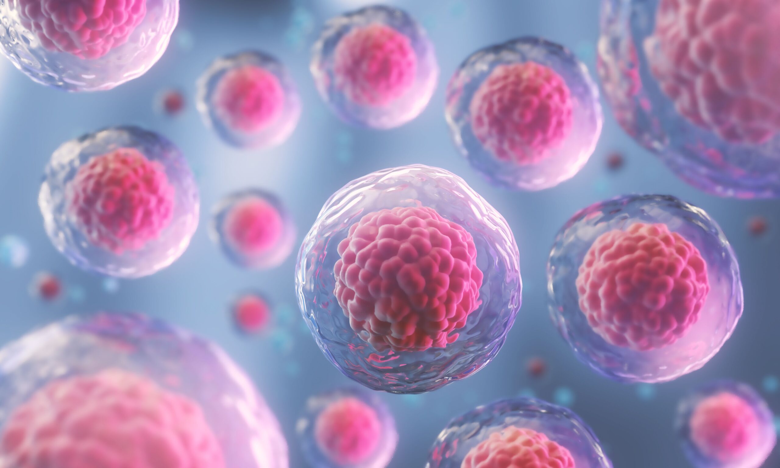 Immune Modulation in Sarcoma: Targeting the Tumor Microenvironment