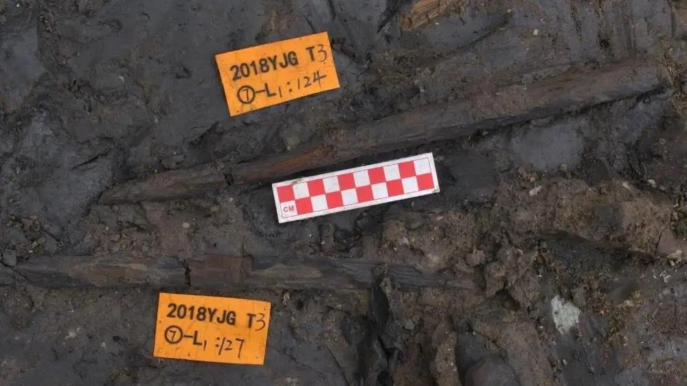 300,000-year-old wooden tools found in China reveal early humans’ plant-based diet and cognitive abilities in East Asia