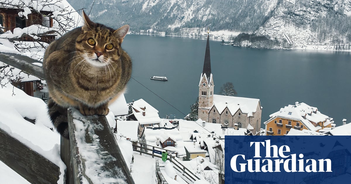 ‘It really felt like I was in a fairytale’: Mustafa Seven’s best phone picture | Photography