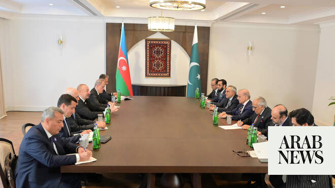 Pakistan PM, Azerbaijan president vow to boost trade and investment on ECO summit sidelines