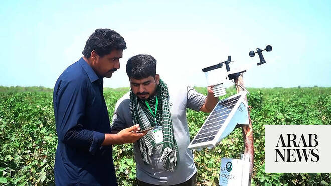 Pakistan to deploy AI, global experts in push to modernize agriculture