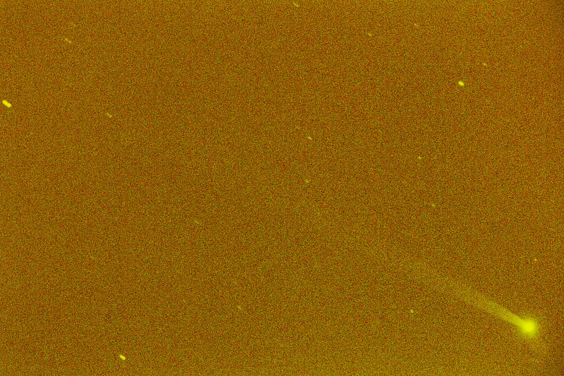 The elusive sodium tail of Mercury. Credit: Hisayoshi Kato.