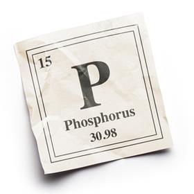 Phosphorus