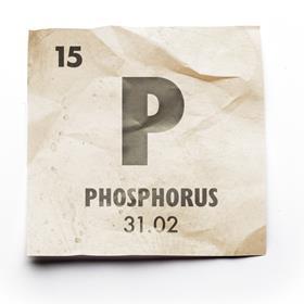 Phosphorus