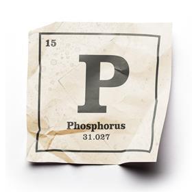 Phosphorus