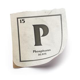 Phosphorus
