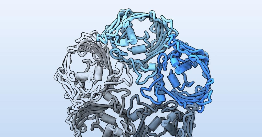 Membrane protein’s unique structure helps bacterial predator devour its rivals | Research