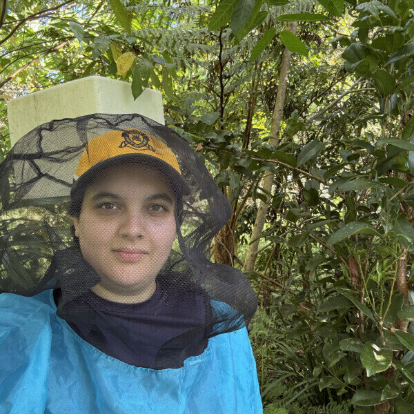 Honey from native Australian bees shows promise in addressing AMR Labmate Online