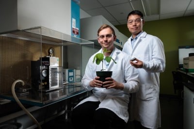 Invention improves ‘gene gun,’ targets efficiency gains in plant research