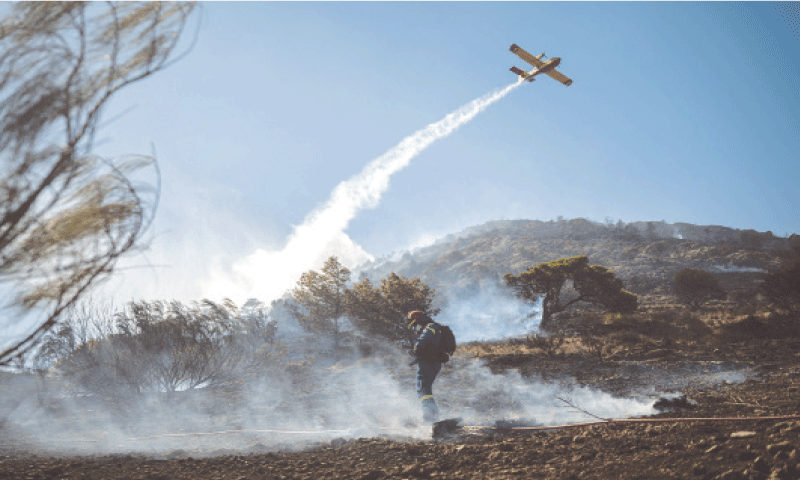 Greece on high alert as heat and wind fuel fire outbreaks – Newspaper