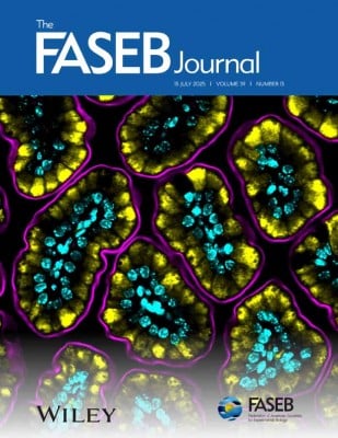 From Microbiota to Microgravity: What’s Inside The FASEB Journal’s Latest Issue