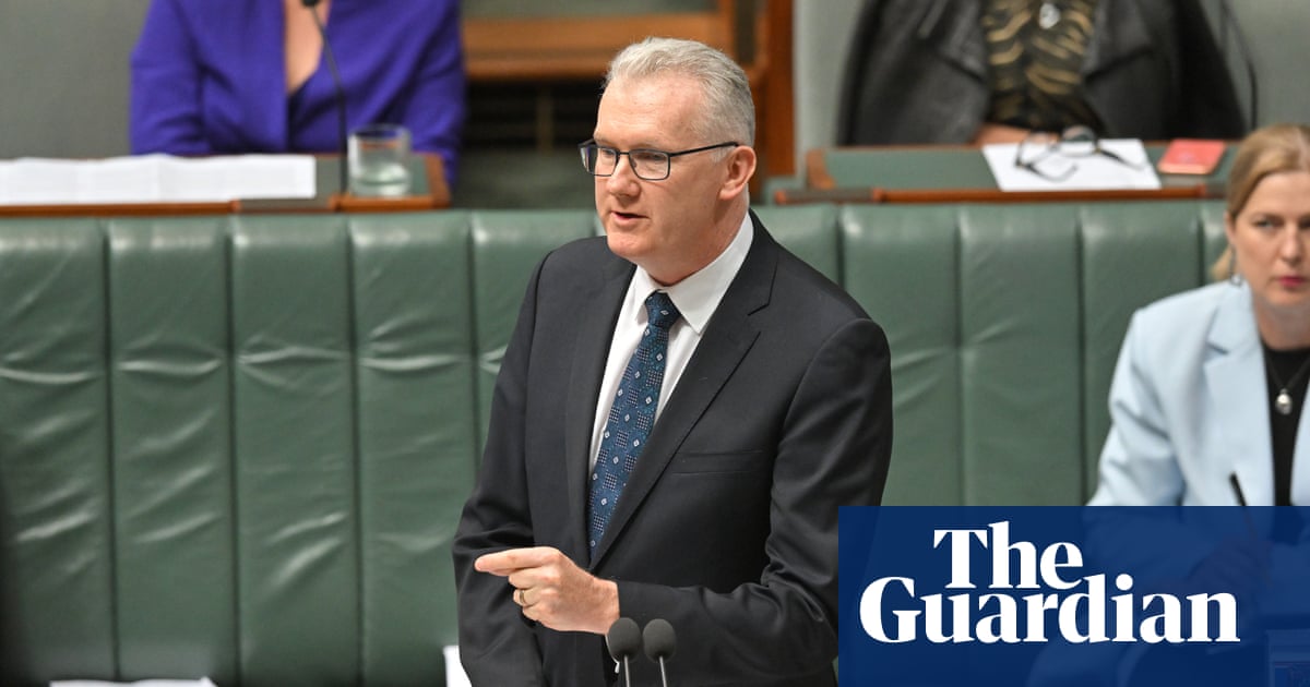 Australia condemns ‘indefensible’ Gaza deaths as it joins coalition of countries denouncing Israel | Australian foreign policy