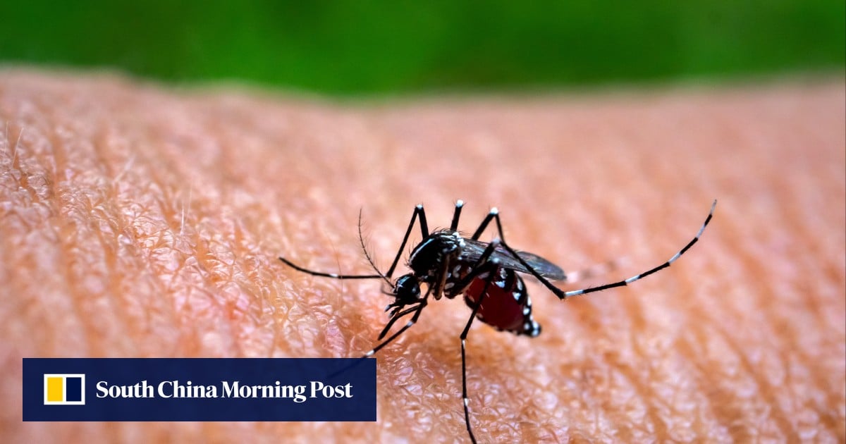 Hong Kong at risk of imported cases of mosquito-borne Chikungunya fever: experts