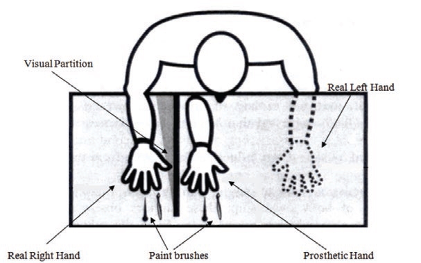 Rubber Hand Illusion