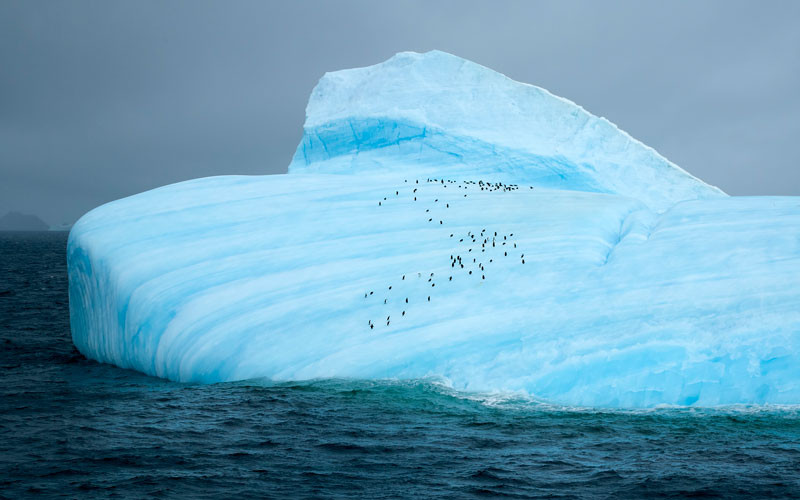 Study Reveals how Deep Ocean Currents Shape Microbial Life across South Pacific