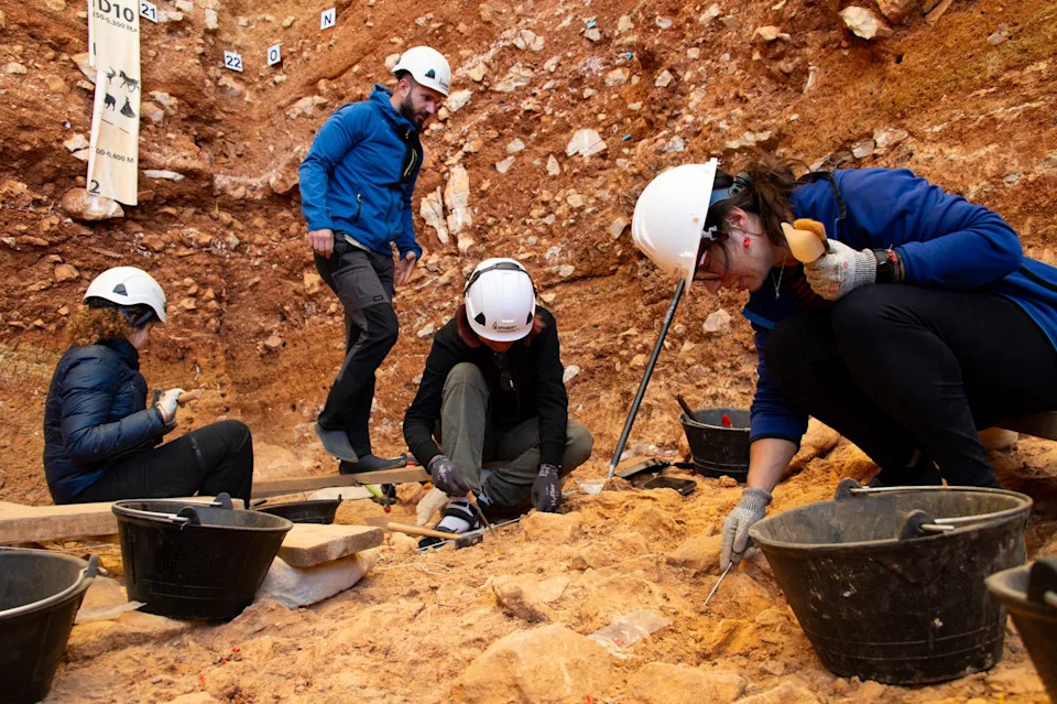 Archaeological excavation work at level TD6 of the Gran Dolina site, Atapuerca