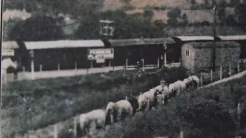 Steve Lloyd An old black and white grainy photo of a line of elephants walking down the path from Penmere station 