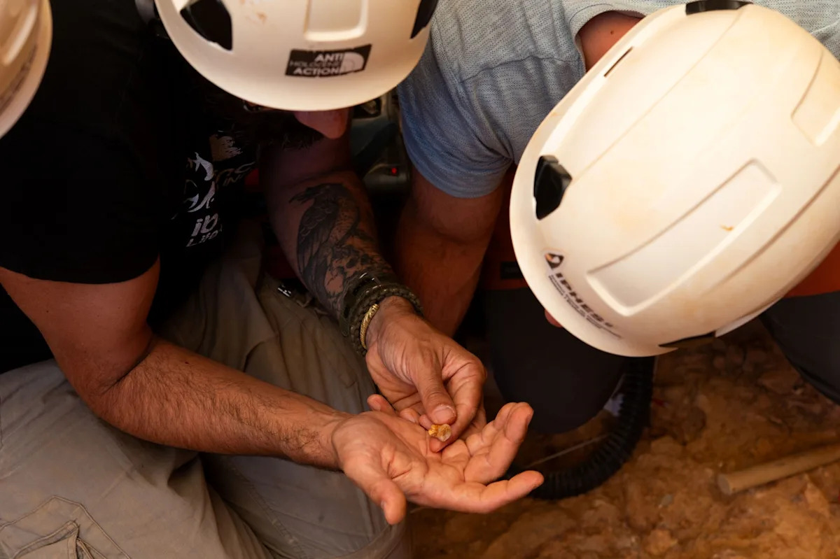 Scientists found cut marks on a 850,000-year-old human neck bone. Was it … cannibalism?