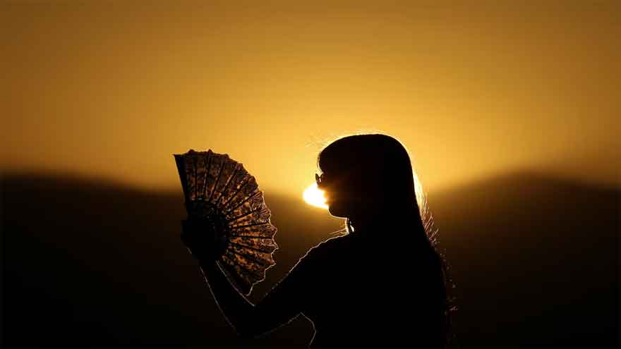 European heatwave caused 2,300 deaths, scientists estimate