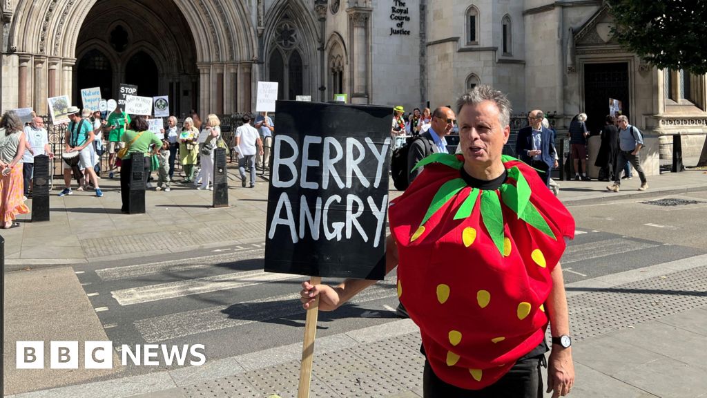 Wimbledon expansion land cannot be built upon, High Court told
