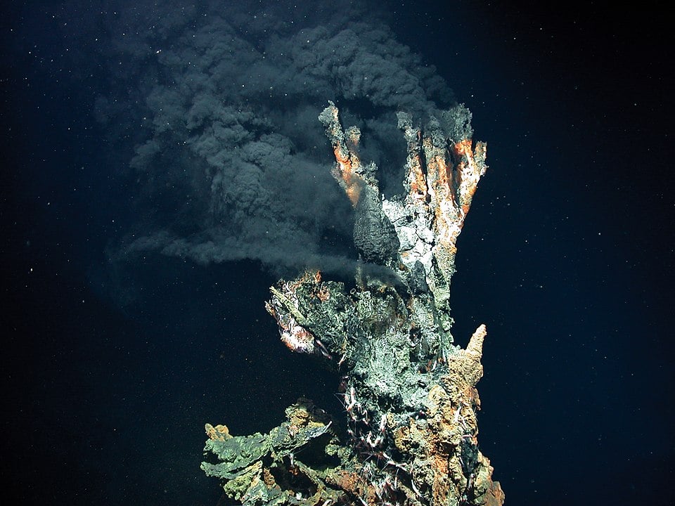 Thermal vents at the bottom of the mid-Atlantic ridge at a water depth of 3,300 metres where an ecosystem thrives (Credit : MARUM − Zentrum für Marine Umweltwissenschaften, Universität Bremen)