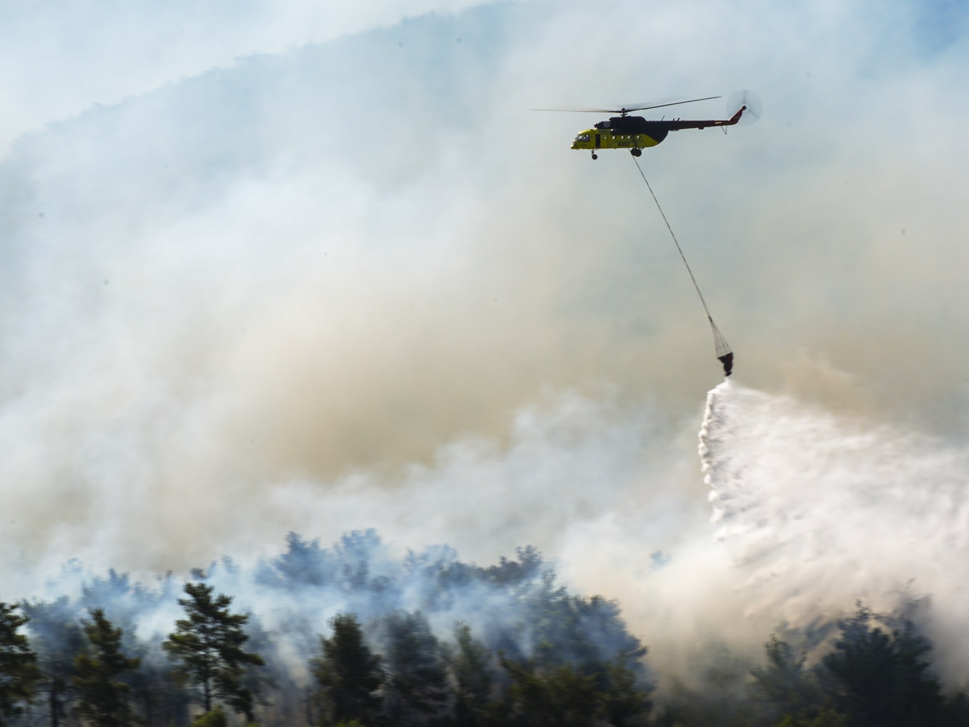 Wildfires fanned by strong winds scorch Turkiye’s Izmir | Wildlife News