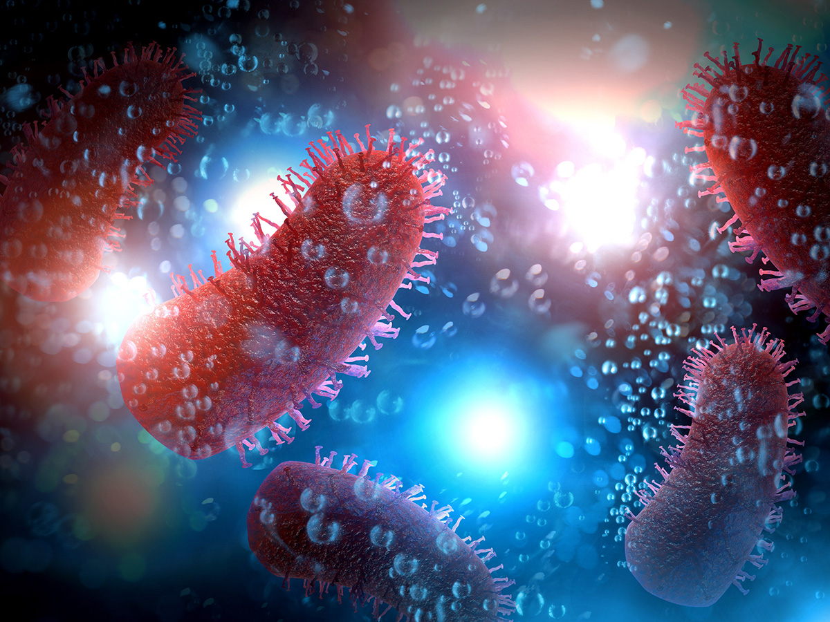 A molecular approach to fighting rabies
