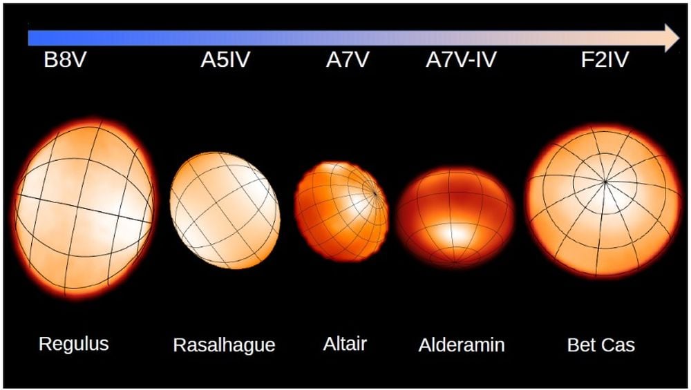These are some of the rapidly-rotating stars studied by CHARA. The rapid rotation deforms the stars into oblate shapes. That means the equators are further from the cores, and are cooler as a result. This is called gravity darkening, since the equators have less gravity than the poles. Image Credit: CHARA Array/John Monnier