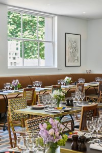 Café Bleu