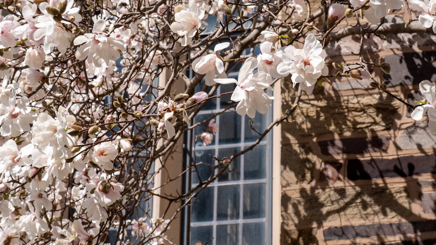 The University community mourns the loss of undergraduate Kerry Grundlingh
