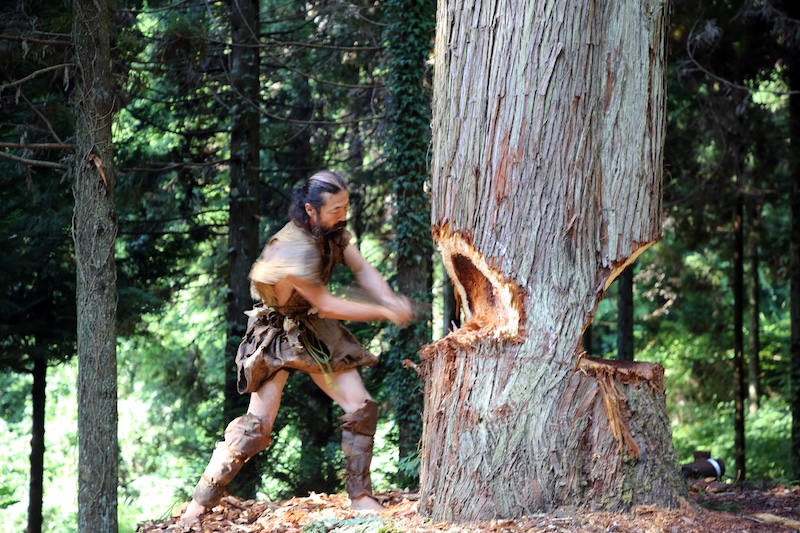 Man cutting down a tree