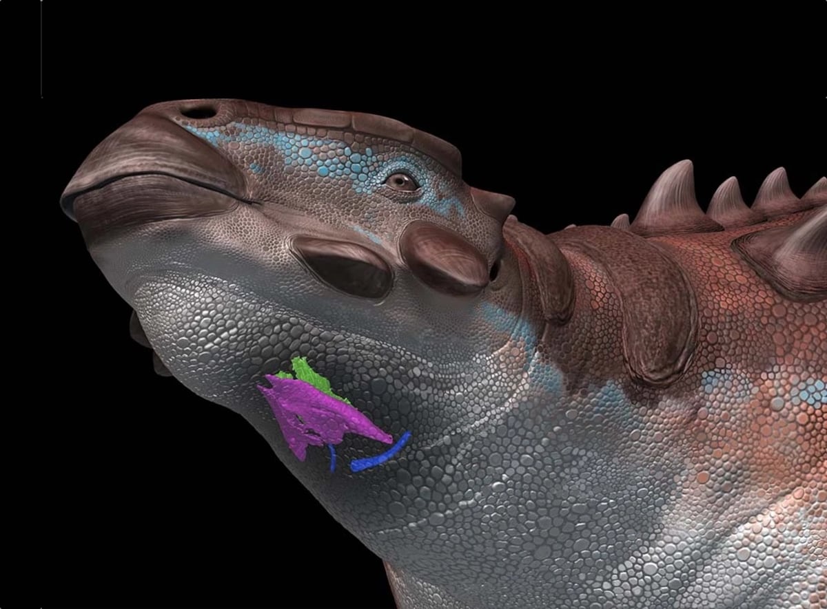 Dinosaurs didn’t roar like in ‘Jurassic World’: Some could sing like birds | Science