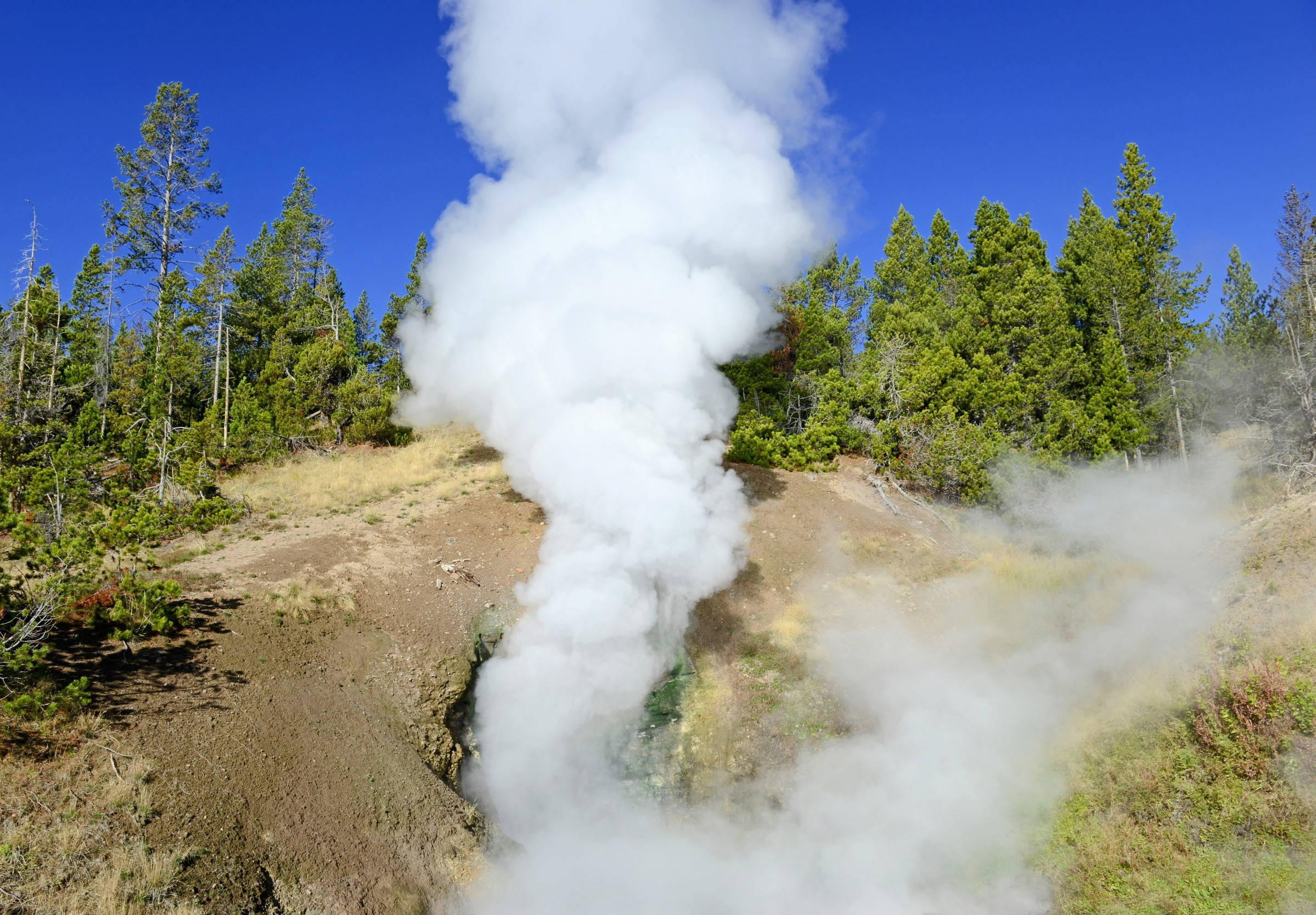 Earth may have always held the key ingredients for life