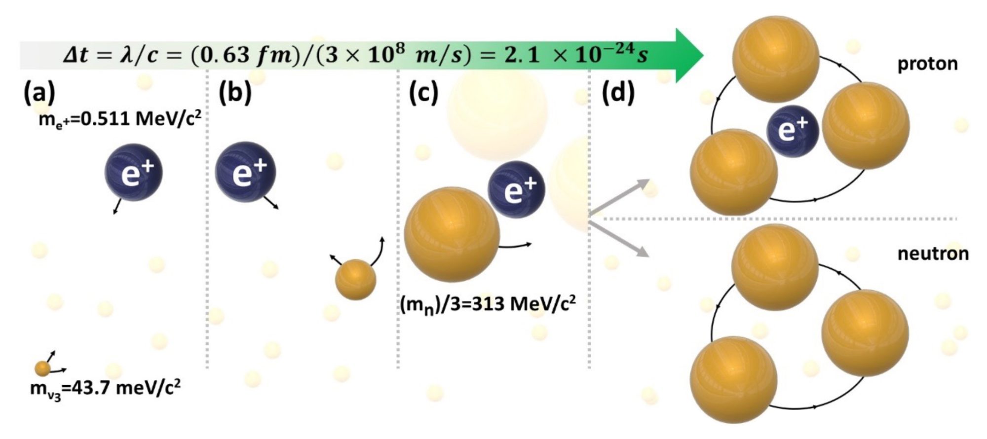 Figure 6. Gravitational catalysis of hadronization by positrons (or electrons). (a) A tiny neutrino at rest is attracted and accelerated by an ambient positron to relativistic (γ>>1) velocities. Its gravitational mass, γ3mo, thus increases dramatically (reaching the Planck mass), as it also starts rotating around the positron (b). Eventually, it joins two similar relativistic neutrinos forming a proton or a neutron; mν3 is the heaviest neutrino mass, and mn is the neutron mass.