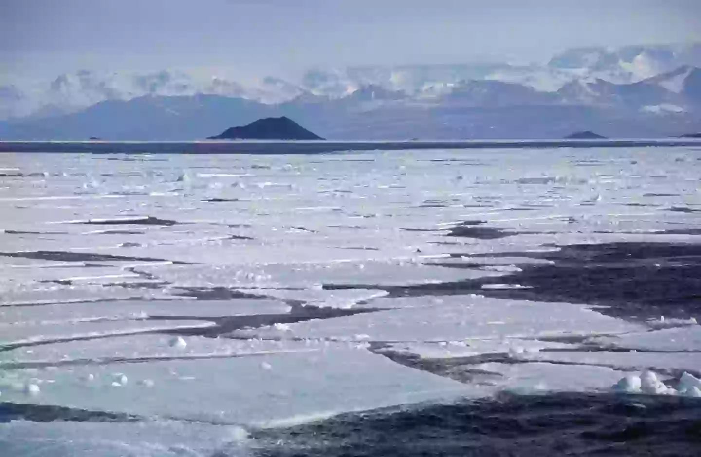 Antarctica has a big old ice sheet (Frances M. Ginter/Getty Images)