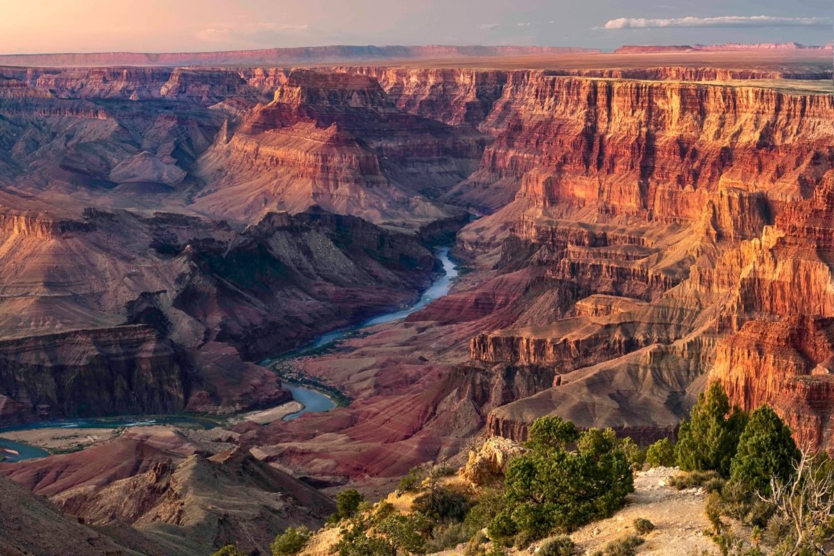 Grand Canyon fossil hunters stumble upon rare treasure trove of ancient animals