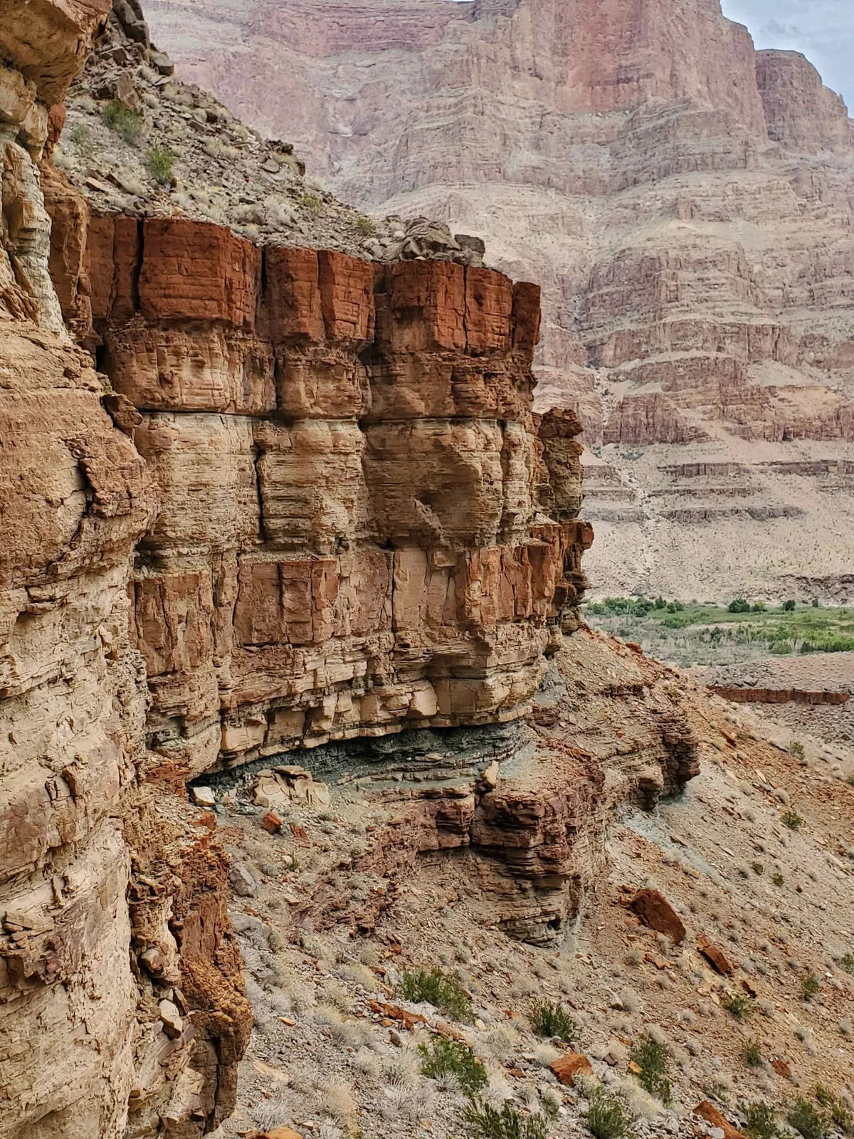 Grand Canyon fossil discovery