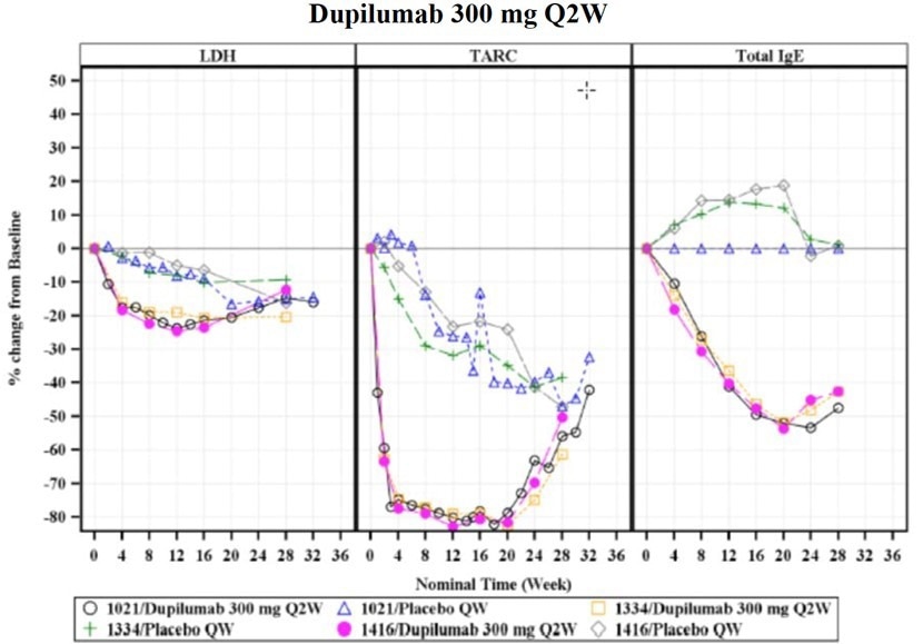 LDH, TARC/CCL17 and IgE changes (in percentage) from baseline under 300 mg Dupilumab treatment once per week, 16 weeks duration