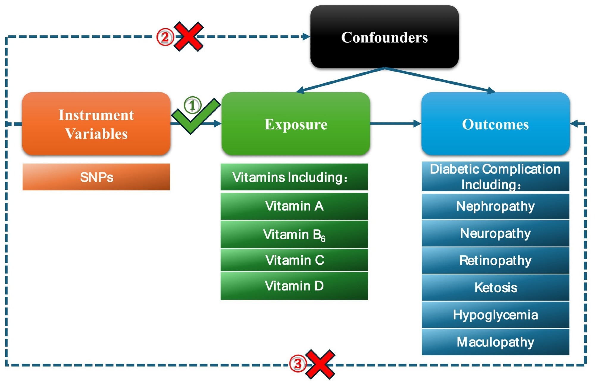 Flow chart of the Mendelian randomization (MR) study and three key assumptions. Firstly, the selected single nucleotide polymorphisms (SNPs) are strongly associated with exposure; vitamins are used as exposure factors in this article. Secondly, there is no association between the SNPs and confounders. Finally, the SNPs can only impact outcomes (diabetic complications) through vitamins directly.