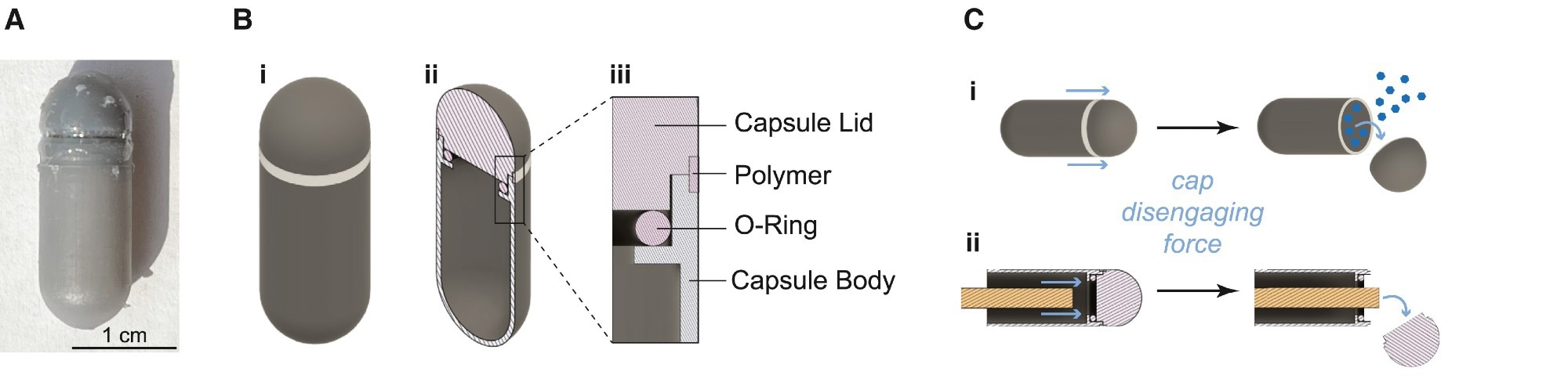 (A) PRIM device sealed with ROS-responsive polymer adhesive coating. (B) Schematic of (i) the 00 capsule-sized PRIM device, (ii) cross-section of the PRIM device showing the capsule lid and the hollow chamber that is filled with dye, and (iii) inset of the cross-section showing how an O-ring is used to form a seal between the capsule body and lid and where ROS-responsive dextran is filled into a notch to adhere the lid and body together. (C) Schematic of (i) PRIM device mechanism design for cap detachment and dye release and (ii) experimental measurement of cap disengaging force using a rod to push off the cap.