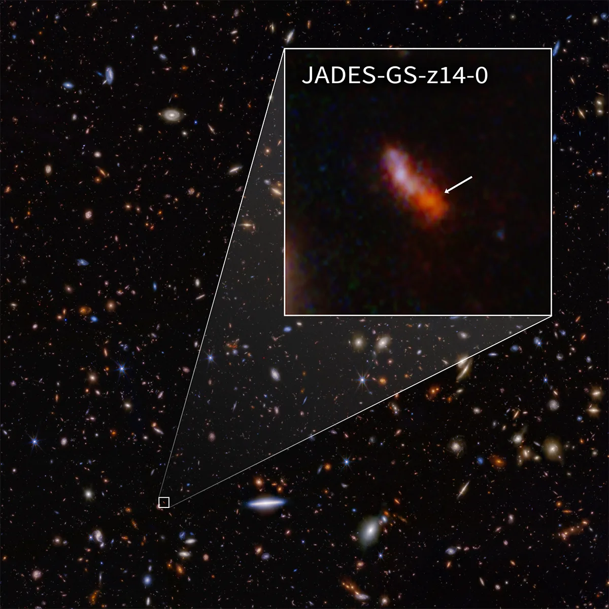 Webb image of JADES-GS-z14-0, a galaxy just 290 million years after the Big Bang. Could the Infinity Galaxy's supermassive black hole help solve the mystery as to why supermassive black holes can exist so soon after the Big Bang? Credit: NASA, ESA, CSA, STScI, B. Robertson (UC Santa Cruz), B. Johnson (CfA), S. Tacchella (Cambridge), P. Cargile (CfA)