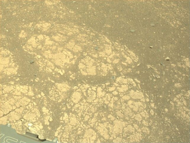 Gallant Mars Rover