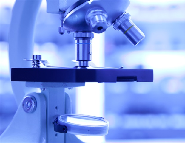 Cornell scientists use natural cell proteins to track molecular behavior