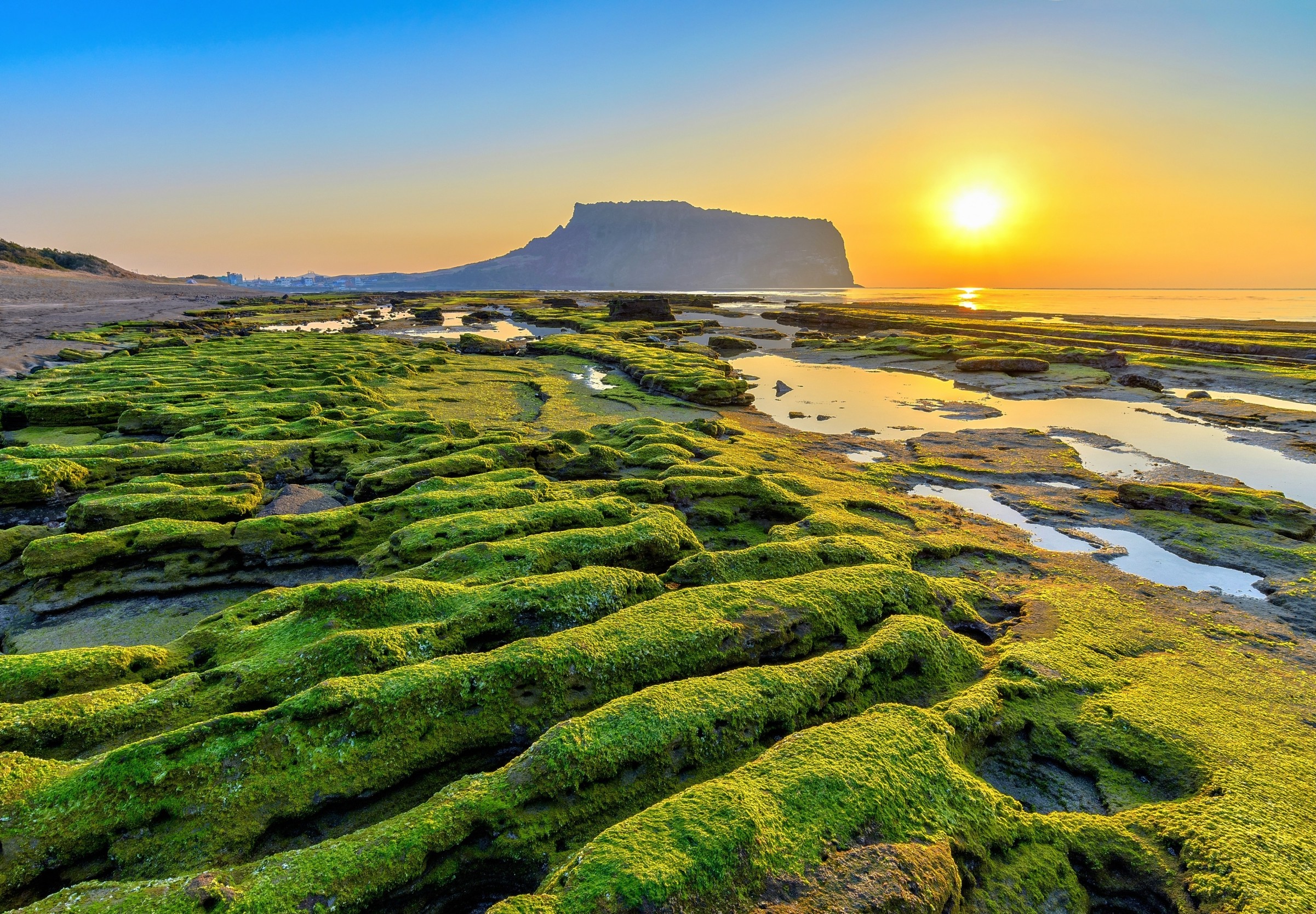Ocean warming is pushing sea life into new territories