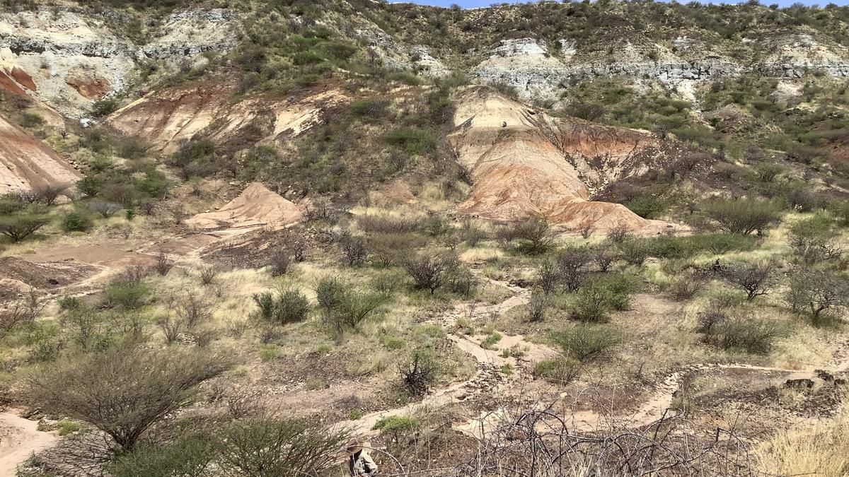 In a first, enamel proteins 18-20 million years old from tropical, High Arctic sites unravel palaeobiology of extinct taxa