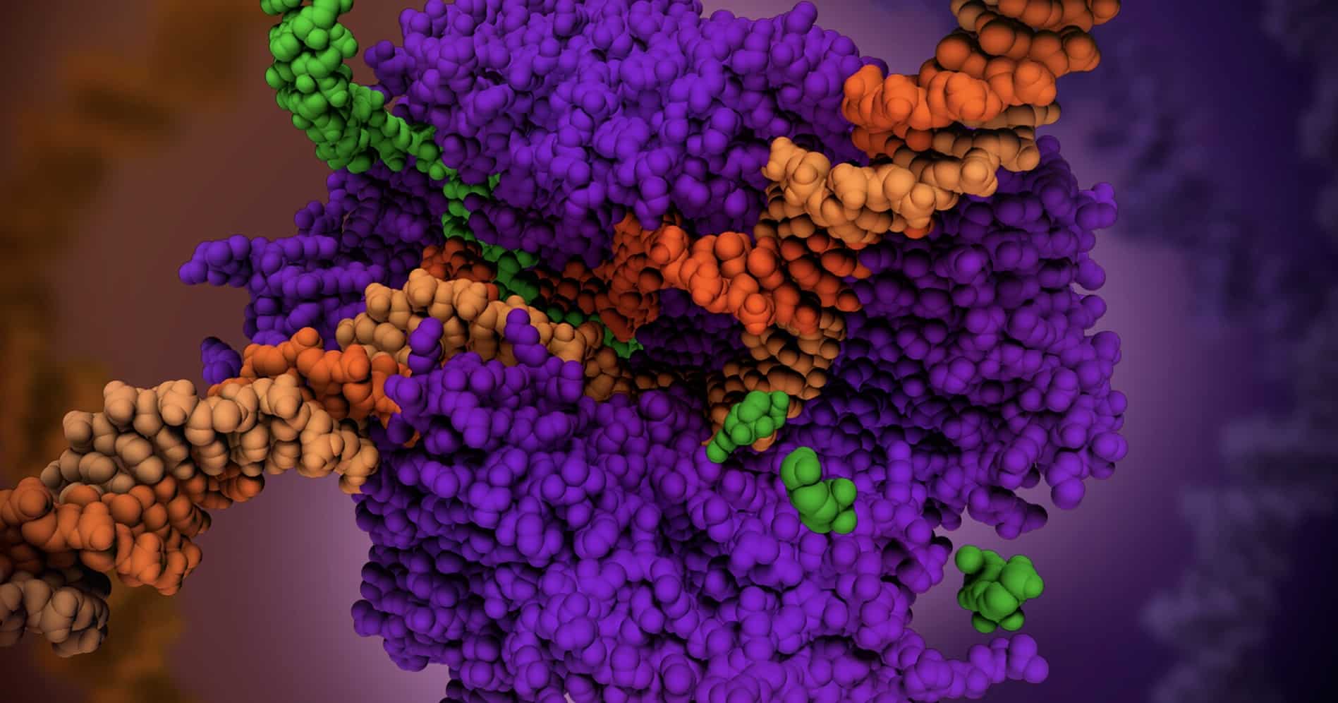 Design in Attenuation | Evolution News and Science Today