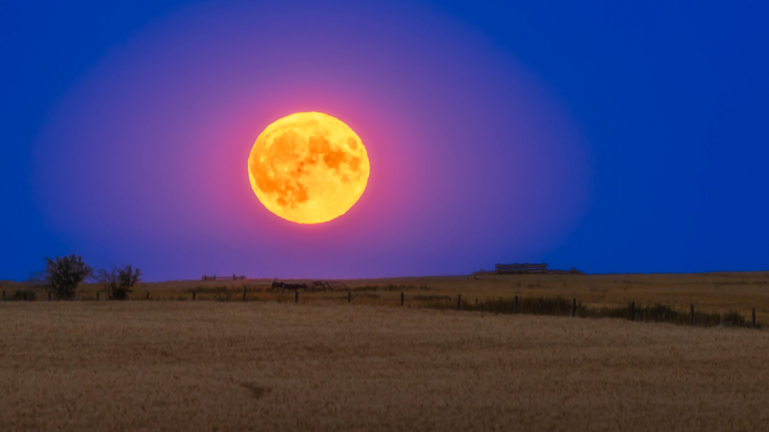 Buck Moon 2025: How to spot one of the lowest full moons of the year — and the farthest from the sun